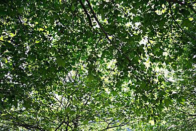 《死亡搁浅2》英国首周实体销量夺冠 较前作下滑66%